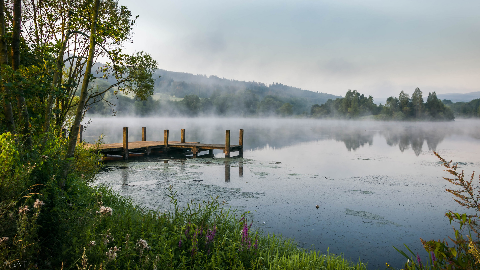 Früh Morgens am Perfstausee....