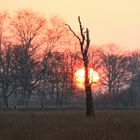 früh morgens am Rand des Moores