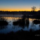 Früh Morgens am Riedsee...