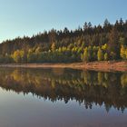 ... früh morgens ... am Schluchsee ...