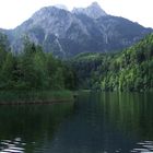 Früh Morgens am Schwansee