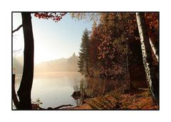 Früh morgens am See (2)