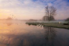 Früh morgens am See