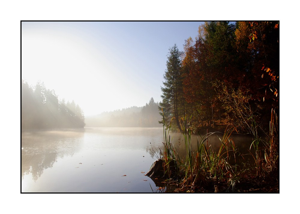 früh morgens am See