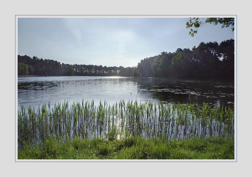 Früh morgens am See