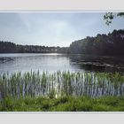 Früh morgens am See