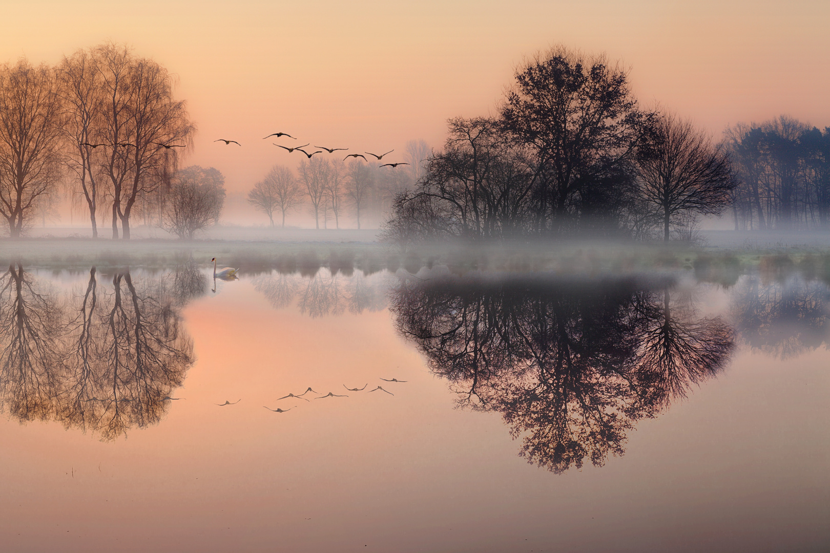 Früh morgens am See