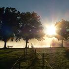 Früh Morgens am See