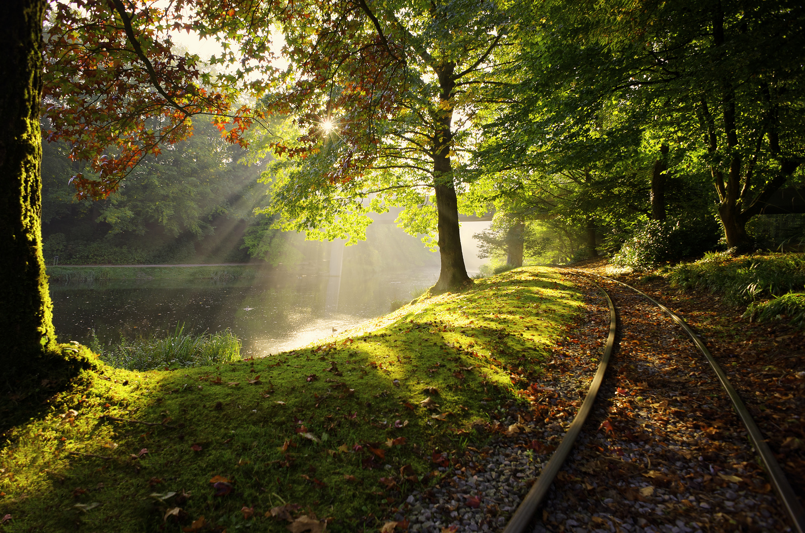 Früh morgens am See