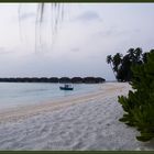 Früh Morgens am Strand