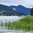 ...früh morgens am Tegernsee...