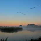 Früh morgens am Teich im NSG