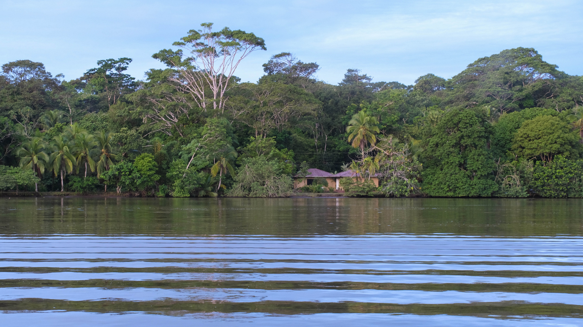 ...früh morgens am Tortuguero River...