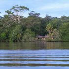 ...früh morgens am Tortuguero River...