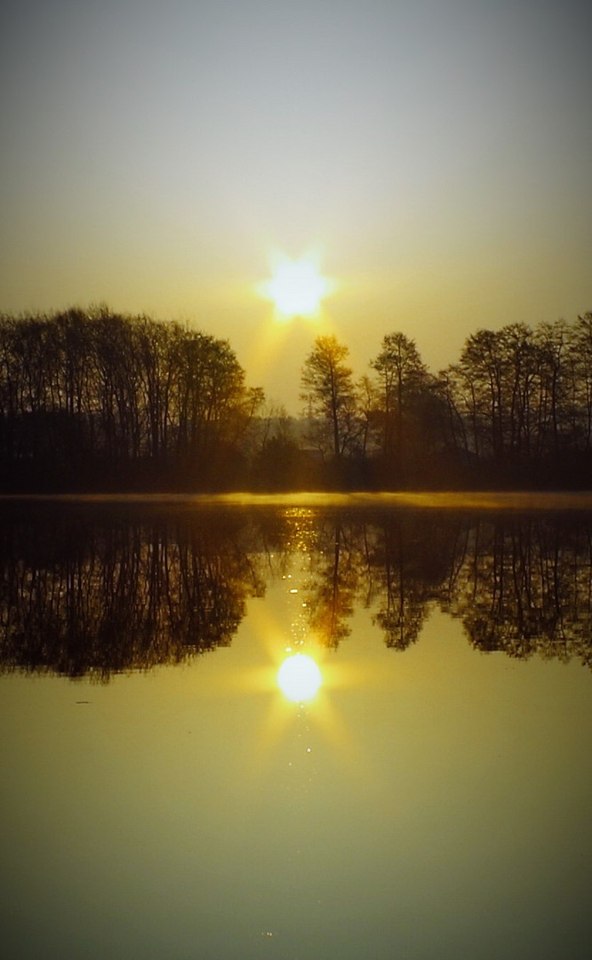 früh morgens am Zeuthener See 2