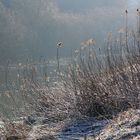 früh morgens an der Ems