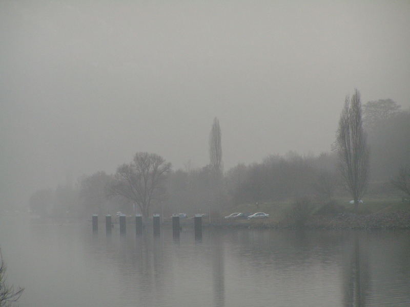 früh morgens an der Mosel