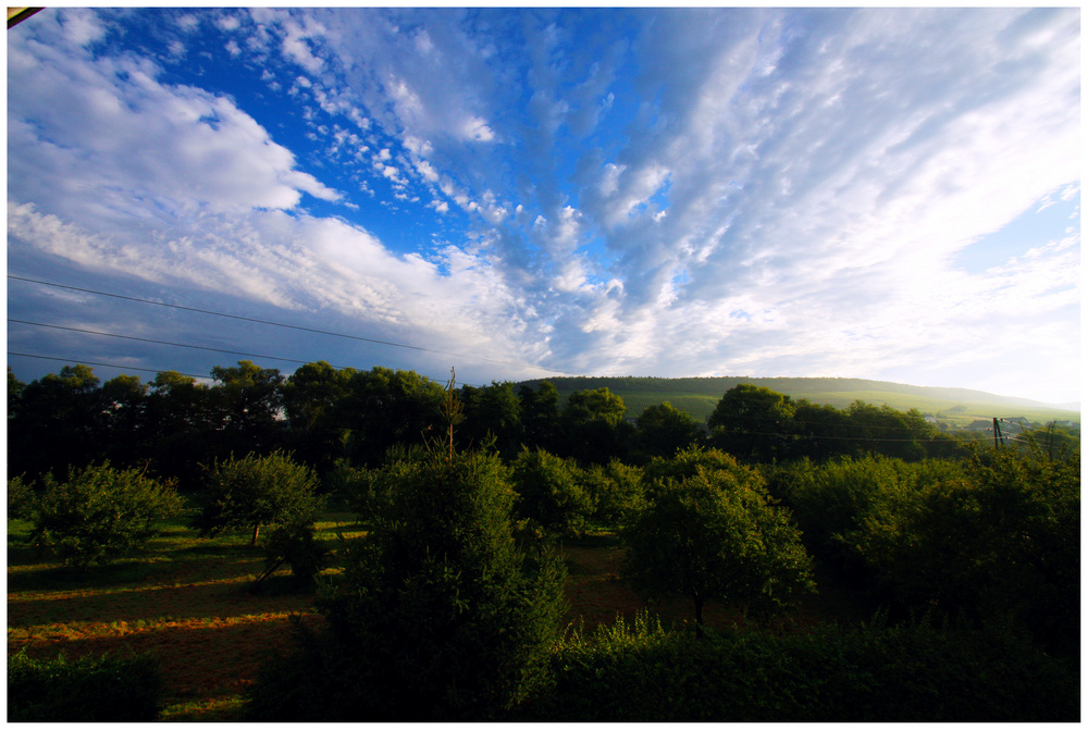 Früh morgens an der Mosel