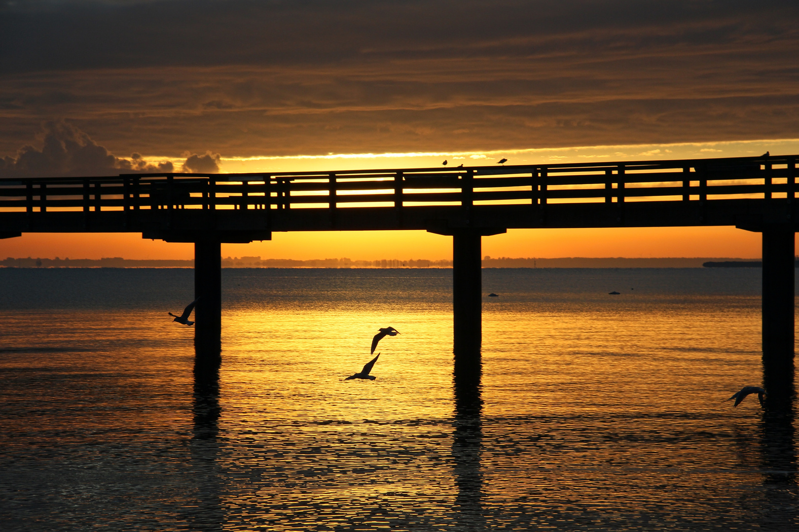 früh morgens an der Seebrücke  -  early morning at the pier