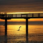 früh morgens an der Seebrücke  -  early morning at the pier