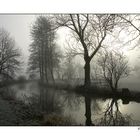 Früh morgens an der Sempt in Erding-Langengeisling 2