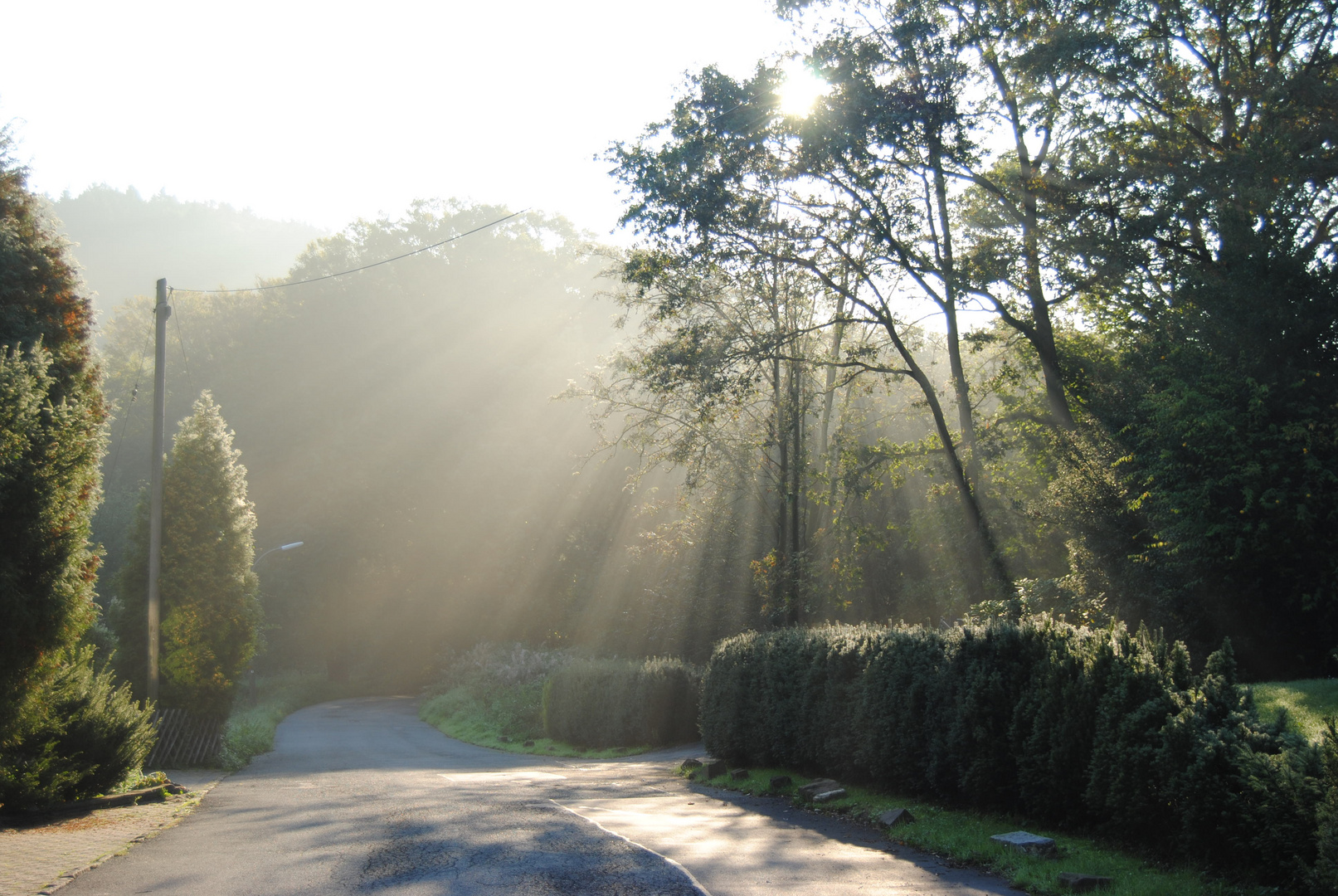 Früh Morgens an der Syburg