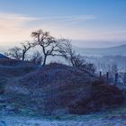 Früh morgens an der Teufelsmauer