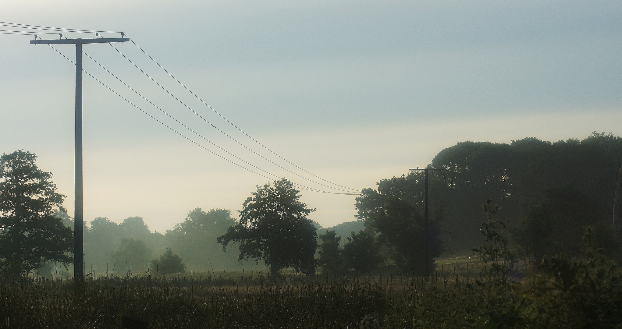 Früh morgens an der Trave