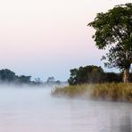Früh Morgens auf dem Okavango