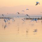 Früh morgens auf dem Taungthaman See