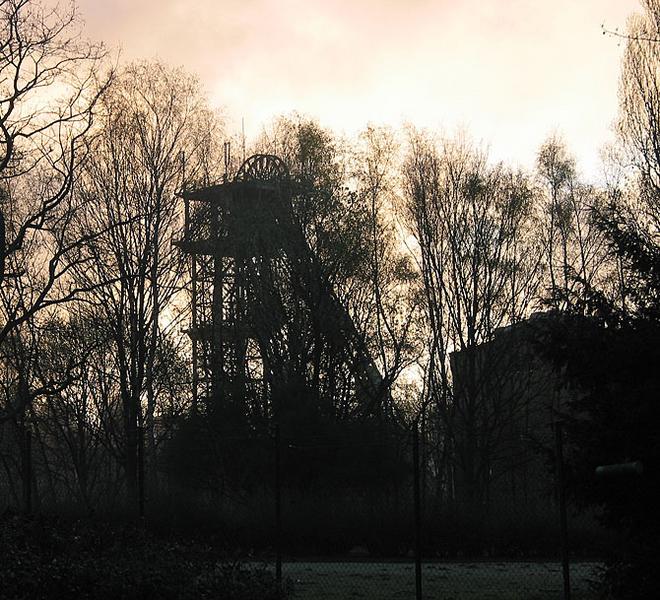 Früh morgens auf dem Weg zur Arbeit.....