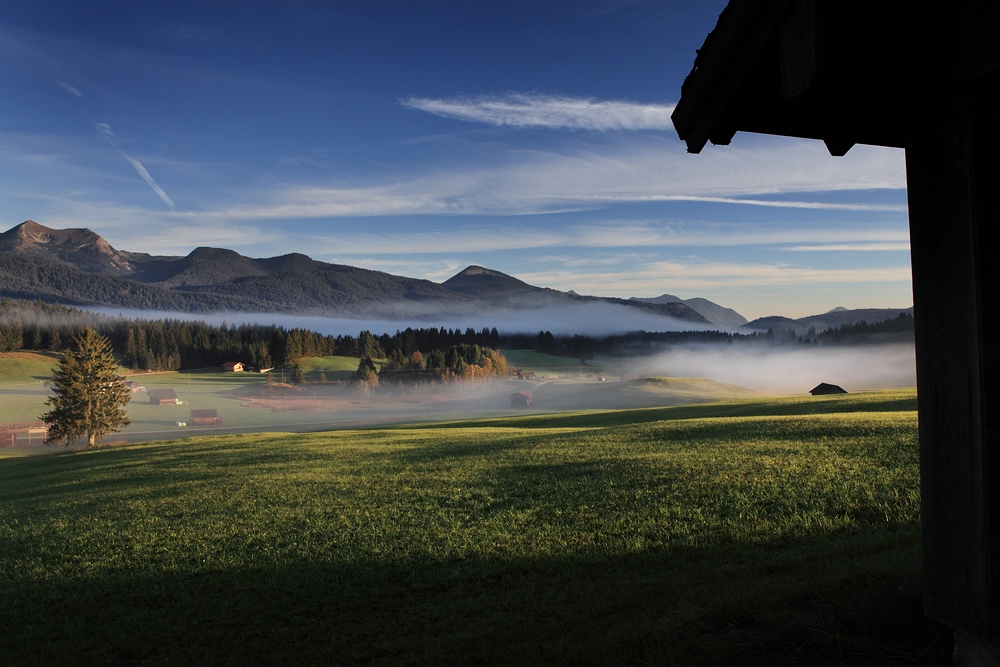 ~ Früh morgens auf den Buckelwiesen ~