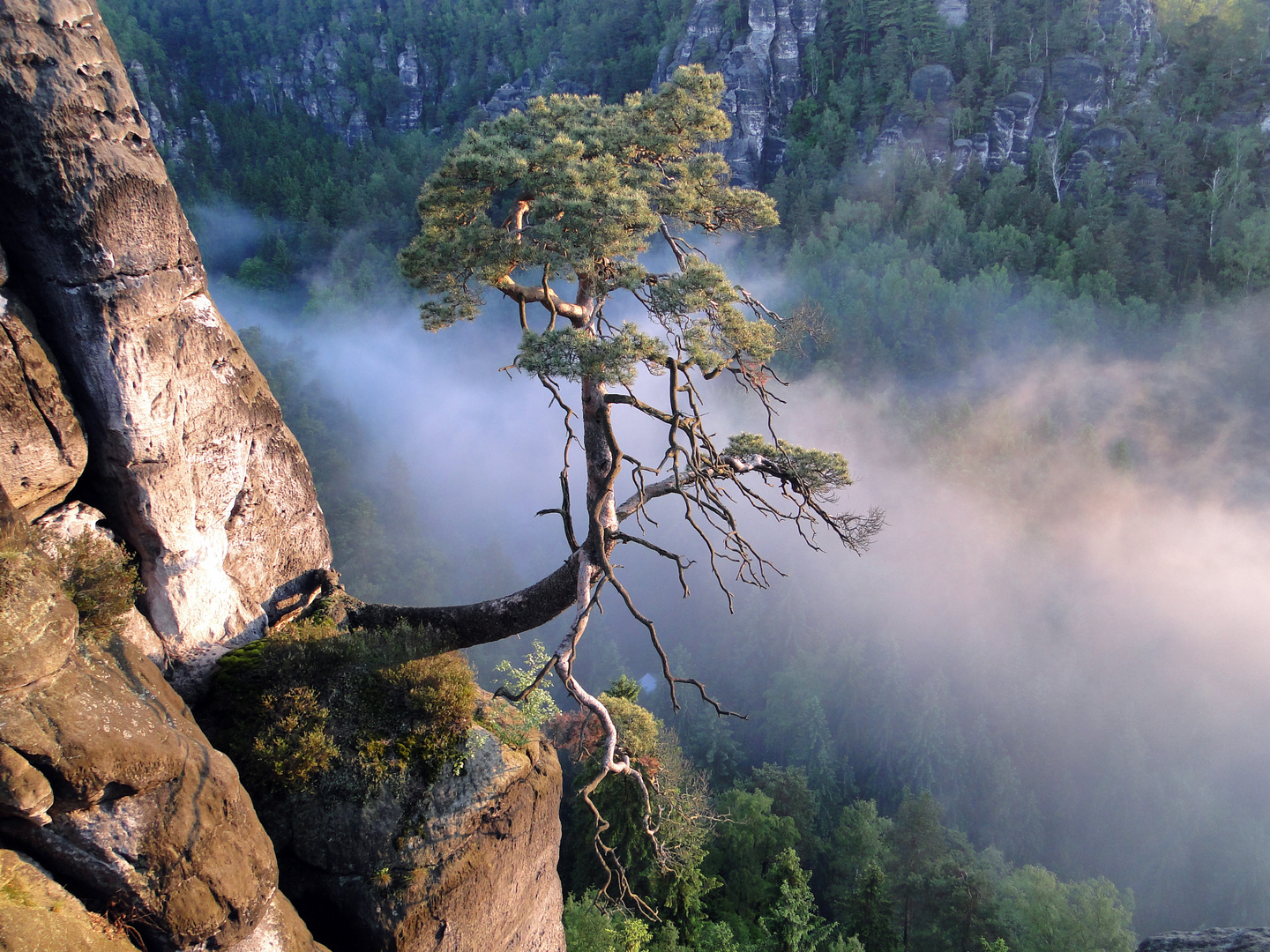 früh morgens auf der Bastei 3