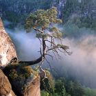 früh morgens auf der Bastei 3