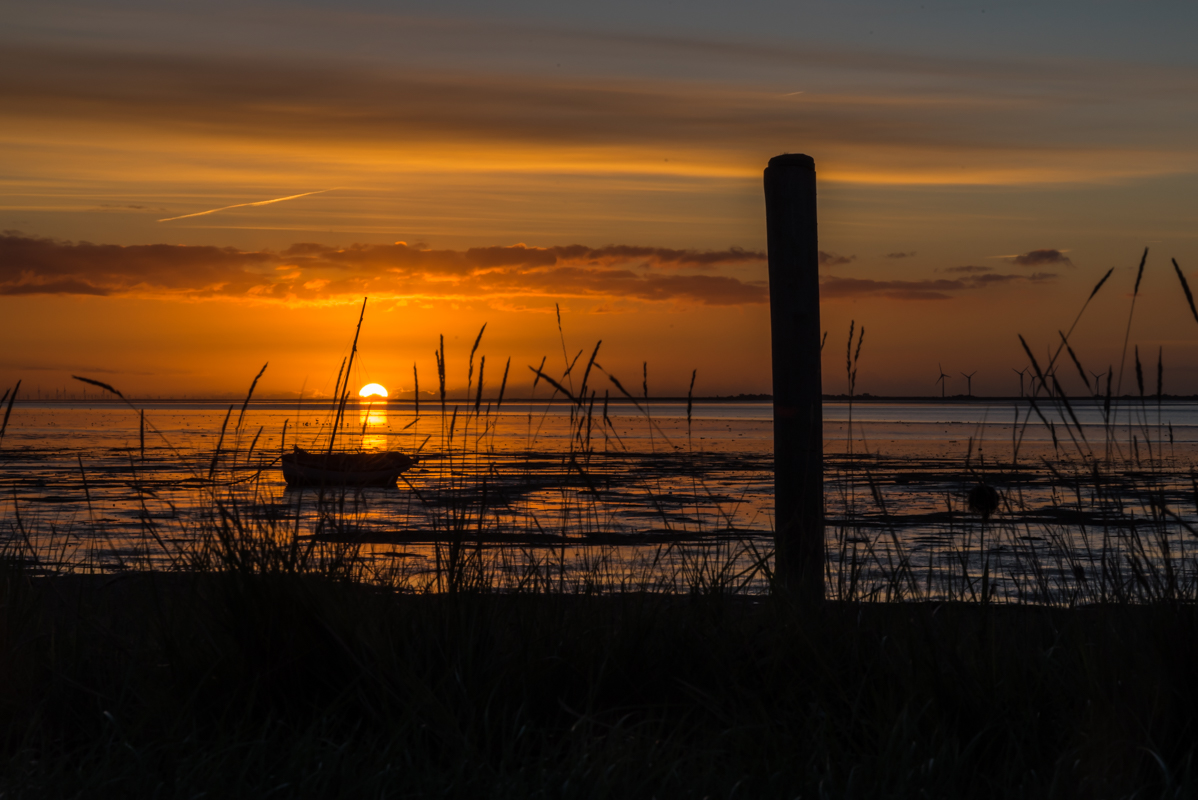 Früh morgens auf der Hallig