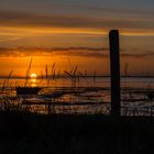 Früh morgens auf der Hallig