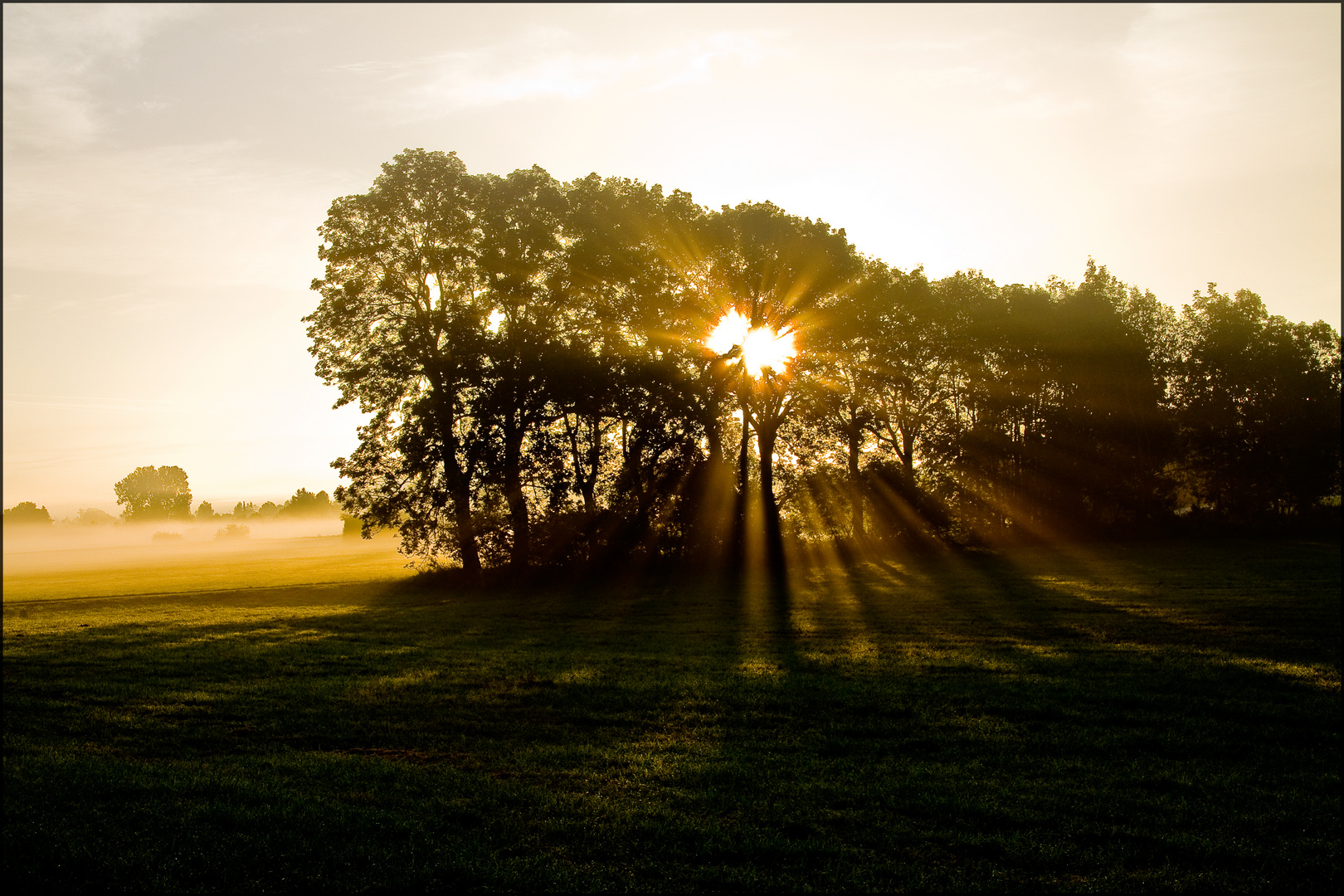 früh morgens