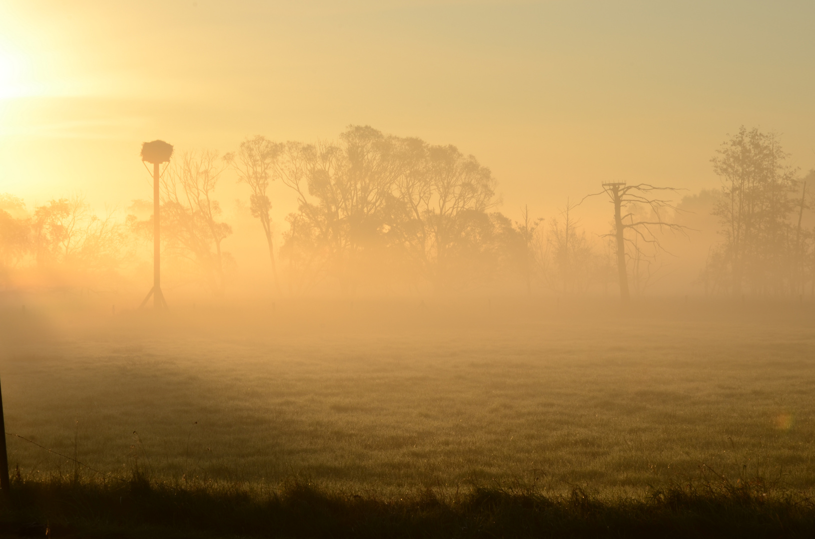 Früh morgens