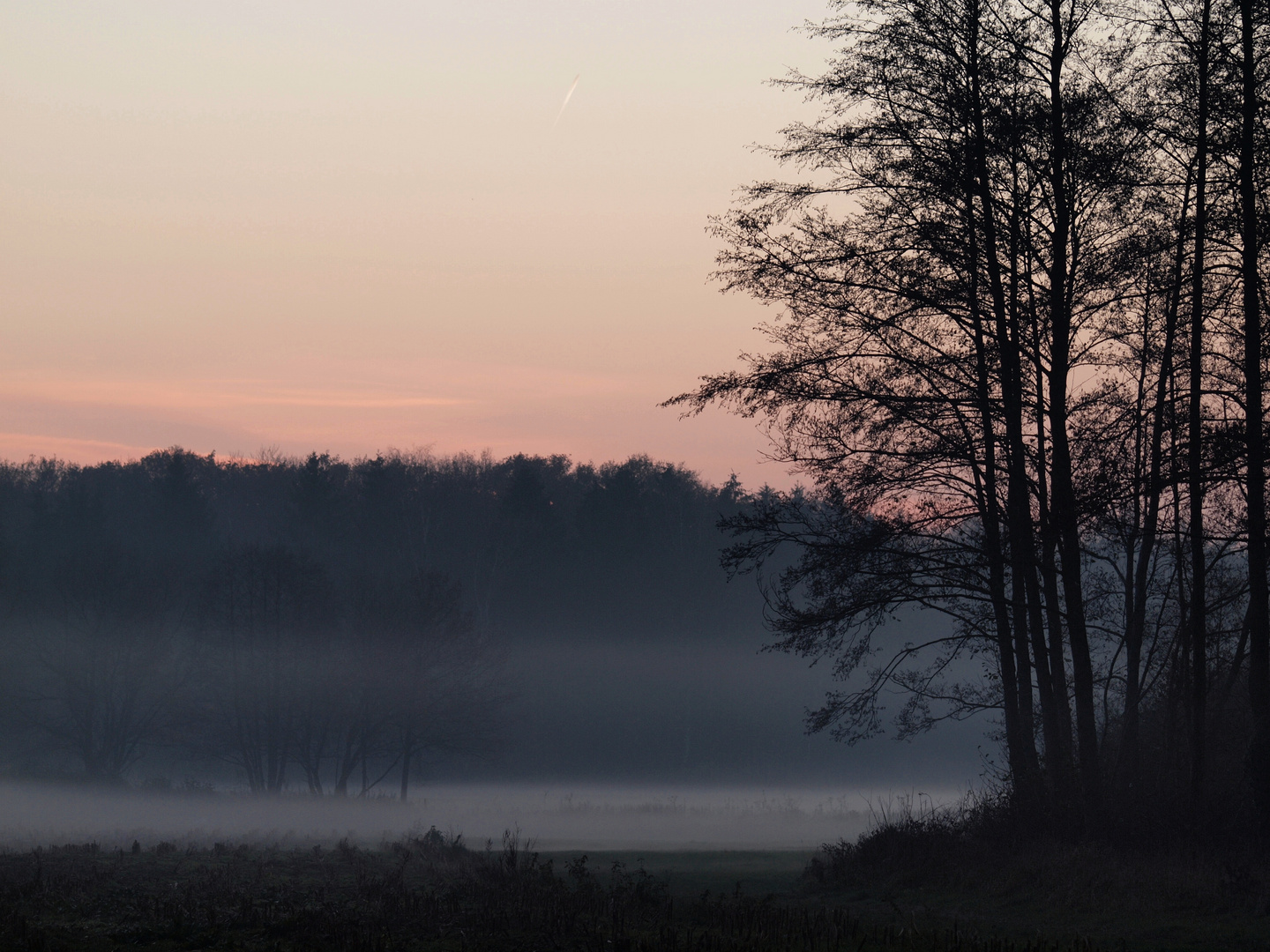 Früh morgens....