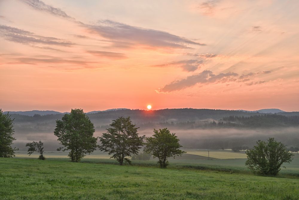 früh morgens....