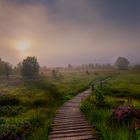 Früh Morgens im Brack Venn