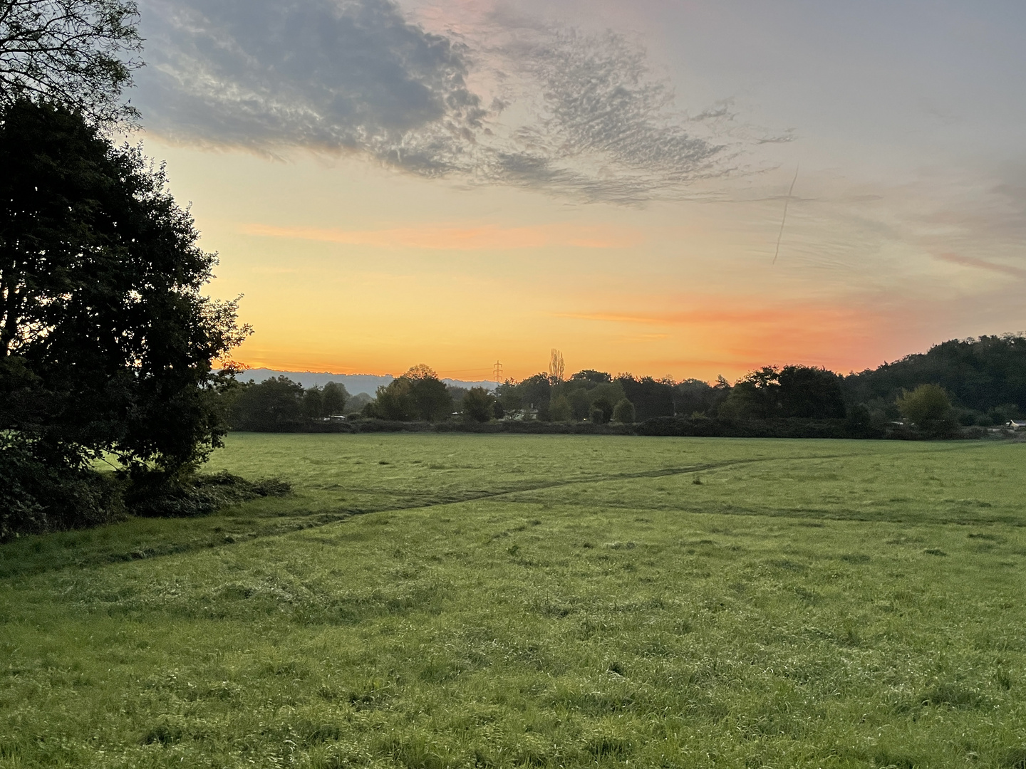 Früh Morgens im Elbtal