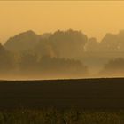 Früh morgens im Herbst (2)