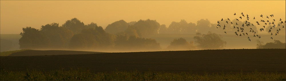 Früh morgens im Herbst (2)