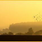 Früh morgens im Herbst