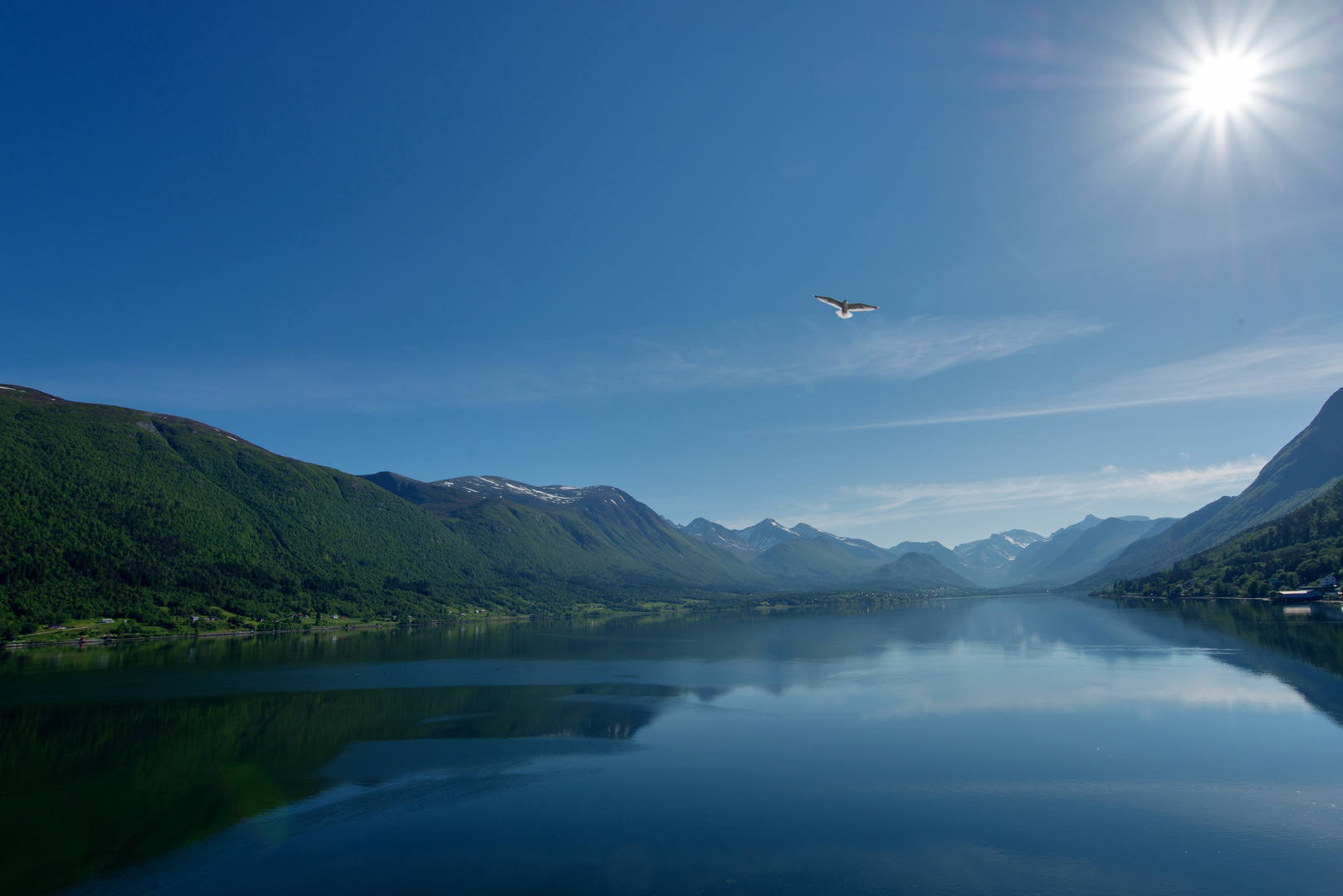 früh morgens im Isfjord