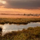 Früh morgens im Moor