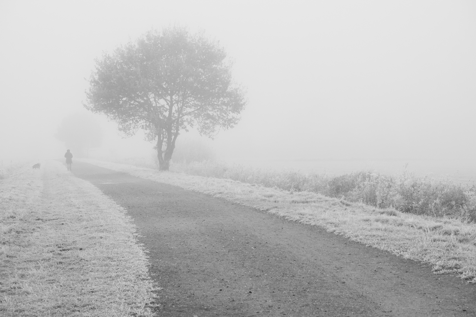 Früh morgens im Moor von Worpswede