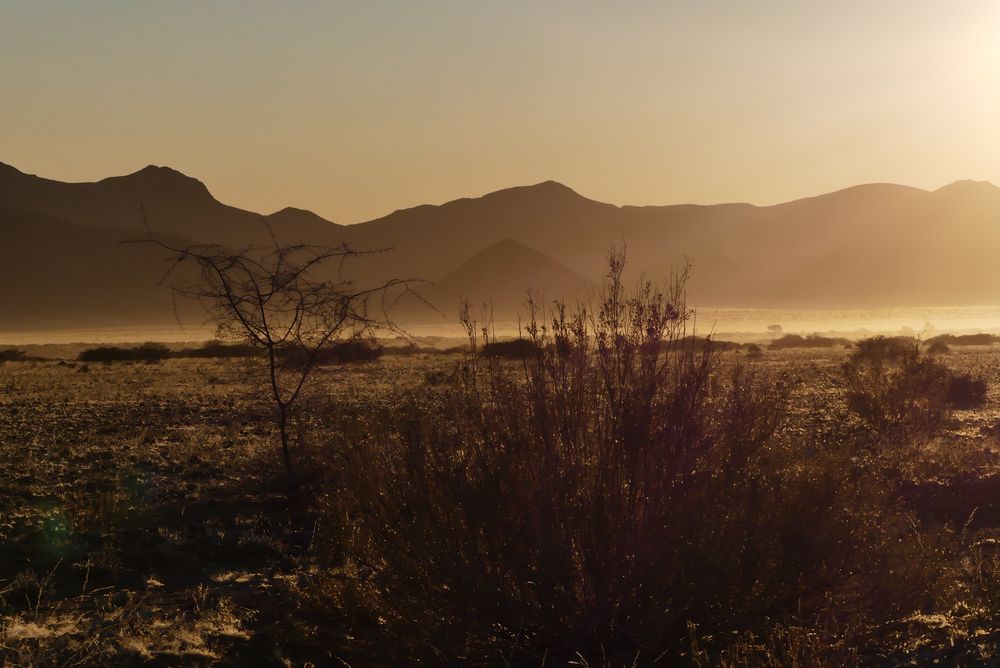 Früh morgens im Namib-Naukluft-Park