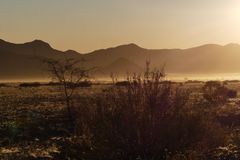 Früh morgens im Namib-Naukluft-Park